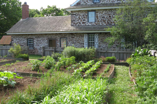 Kitchen-Garden