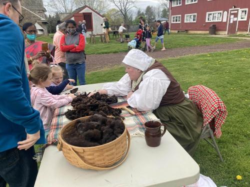 Sheep-Shearing-Event12