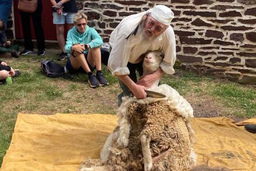 Sheep-Shearing-Event21