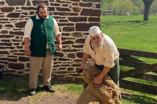 Sheep-Shearing-Event22