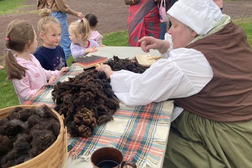 Sheep-Shearing-Event2 (1)