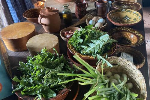 Sheep-Shearing-Event3 (1)