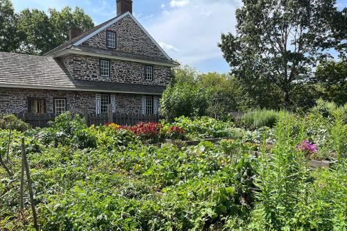View-of-garden-house-tomatoes-1200