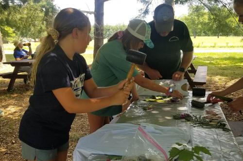 leaf-shirts-11-1200px