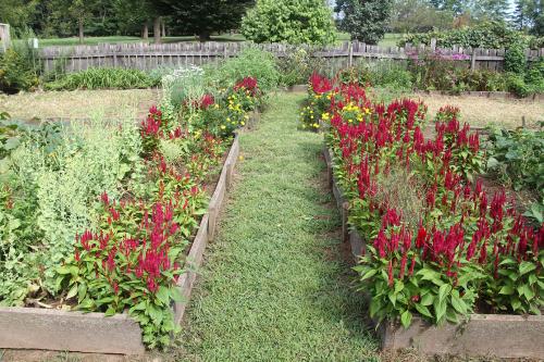 summer-blooms-in-the-wentz-garden